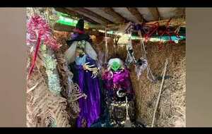 Ychoux dans le froid...