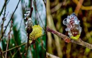 Ychoux : première pour Michel C