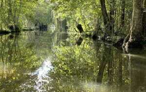 Séjour Marais Poitevin 15 au 19 juin 2026
