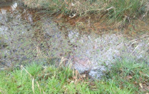 Rando du lundi avec Jacques