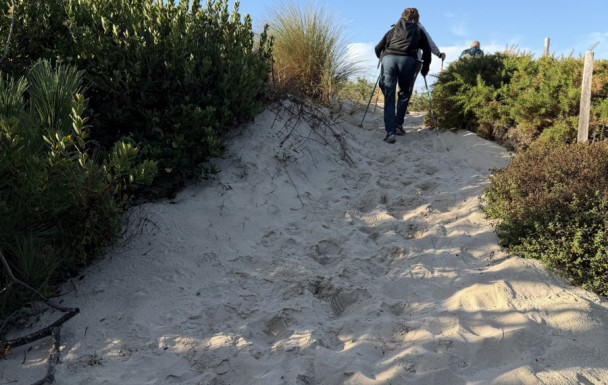 Nordique Biscarosse Plage